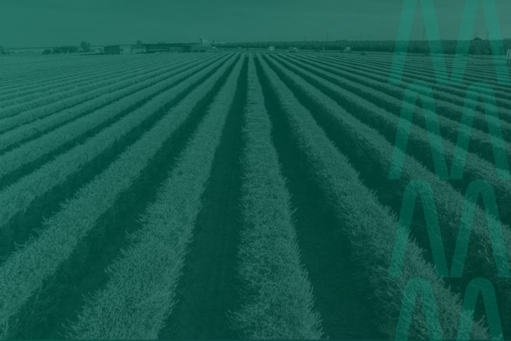 Cooperativas: qual o benefício de ser um cooperado? benefícios de ser cooperado em uma cooperativa