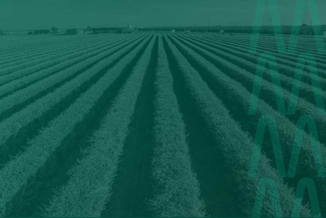 benefícios de ser cooperado em uma cooperativa