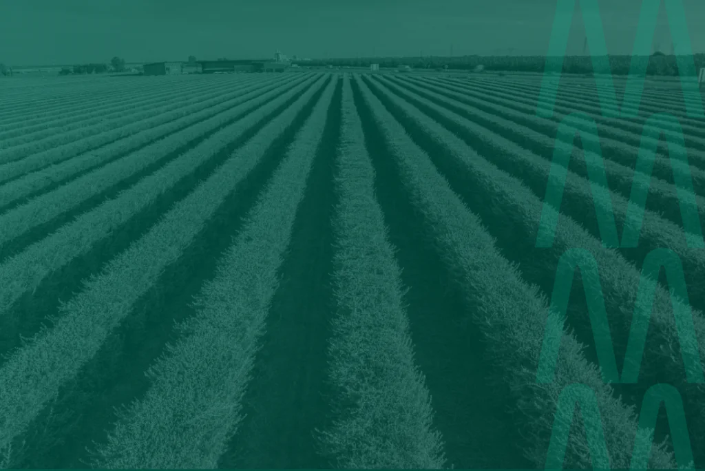 Cooperativas: qual o benefício de ser um cooperado? benefícios de ser cooperado em uma cooperativa